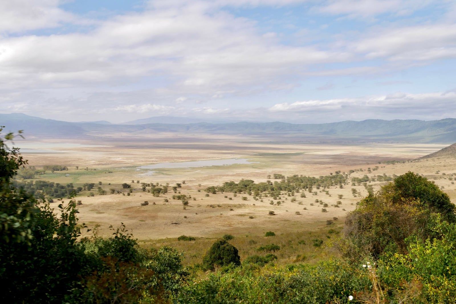 A wide panoramic view over the expansive plains and distant rim of Ngorongoro Crater in Tanzania.