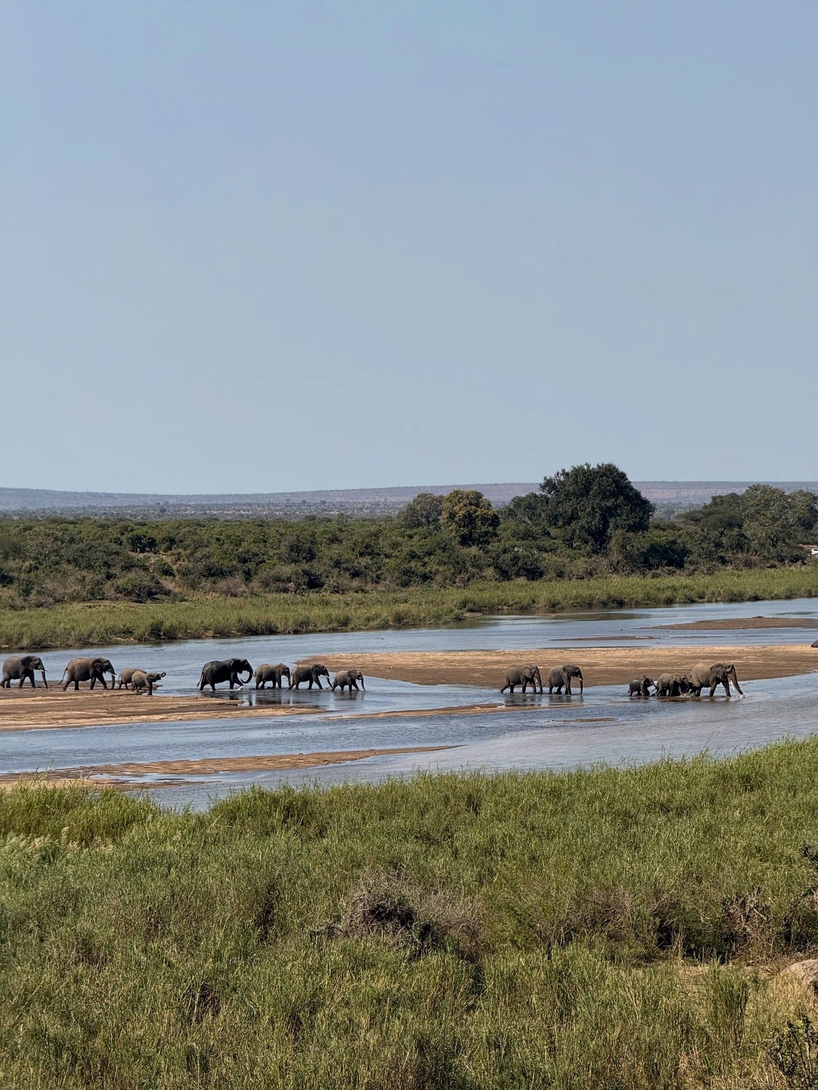 Kruger National Park view