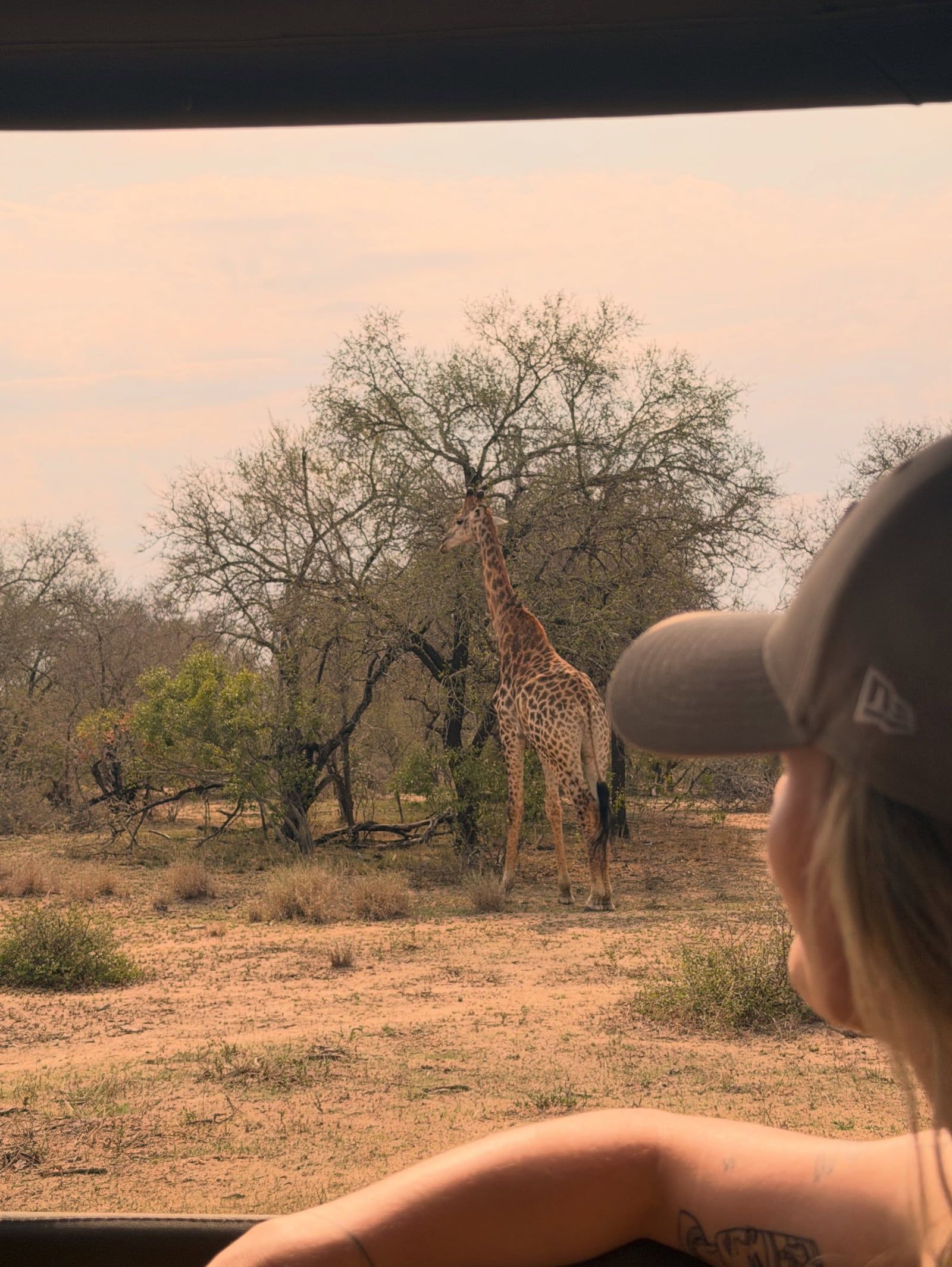 Krüger-Nationalpark Tour-Besucherfoto